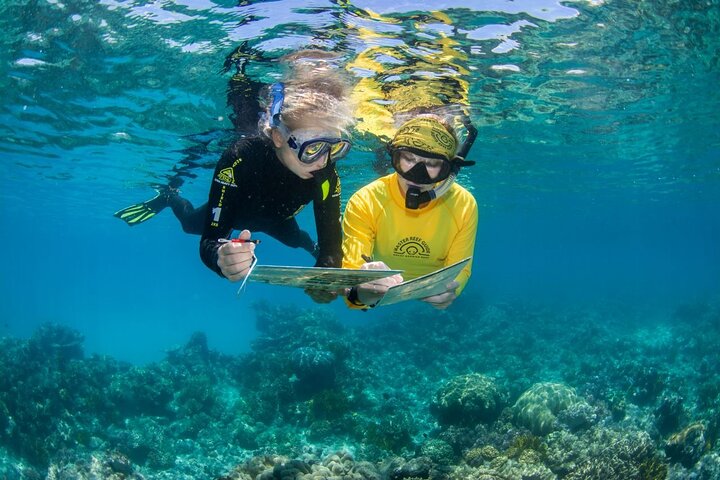 Passions of Paradise Great Barrier Reef Cruise by Catamaran
