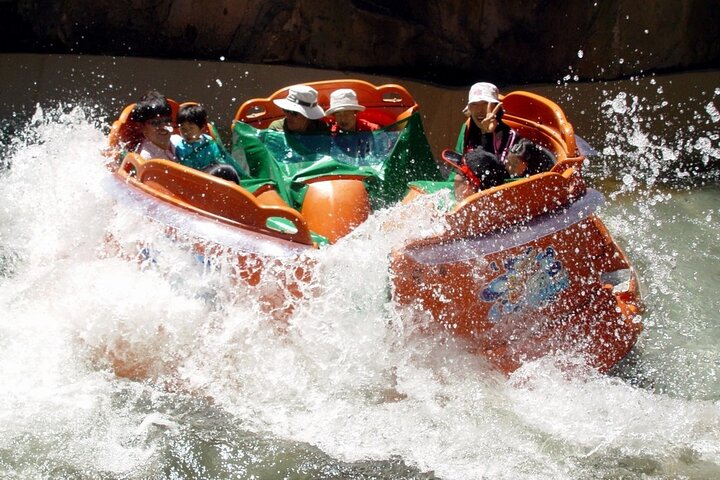 Everland Theme Park Admission Ticket with Transfer from Seoul
