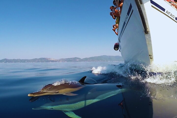 Kos: Small Group Full-Day Sailing Boat Trip, Meals, Drinks & Swim
