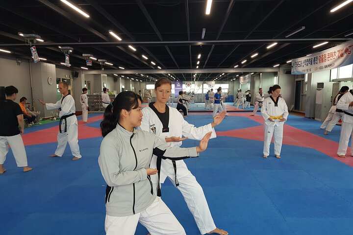 Korea Taekwondo Experience