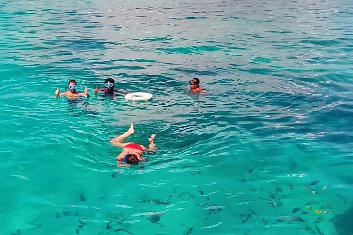 Nassau 3-stops: Snorkeling, Swimming Pigs, Turtles & Lunch