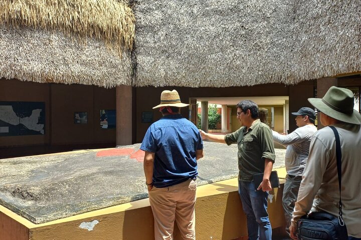 Guided Tour by the Olmec Stone Men
