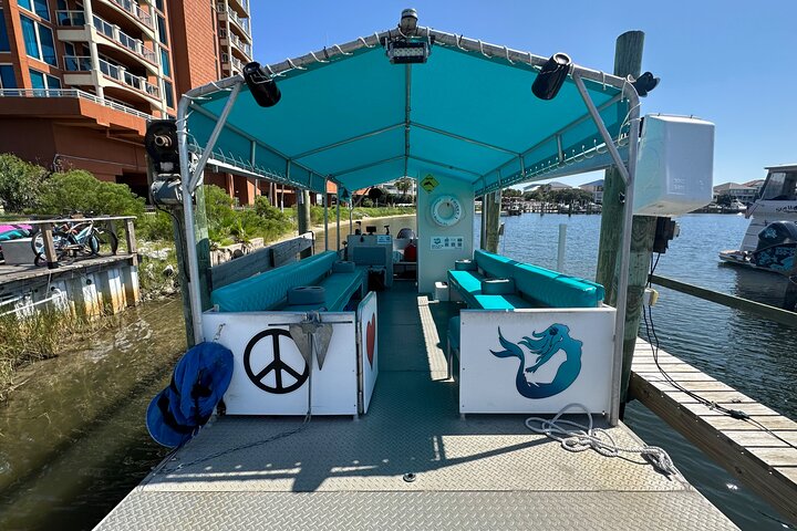 Frisky Mermaid Dolphin + Sightseeing Cruise in Pensacola Beach