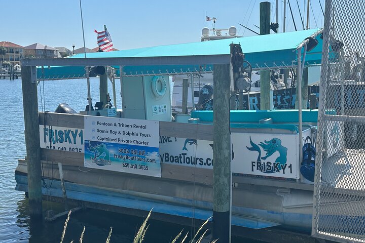 Frisky Mermaid Dolphin + Sightseeing Cruise in Pensacola Beach
