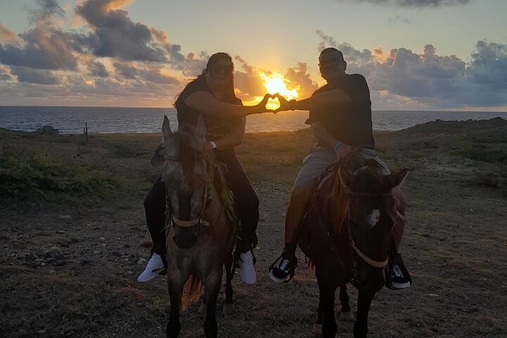 Aruba Ecological & Coastline Horseback Ride with Beach Photo Stop
