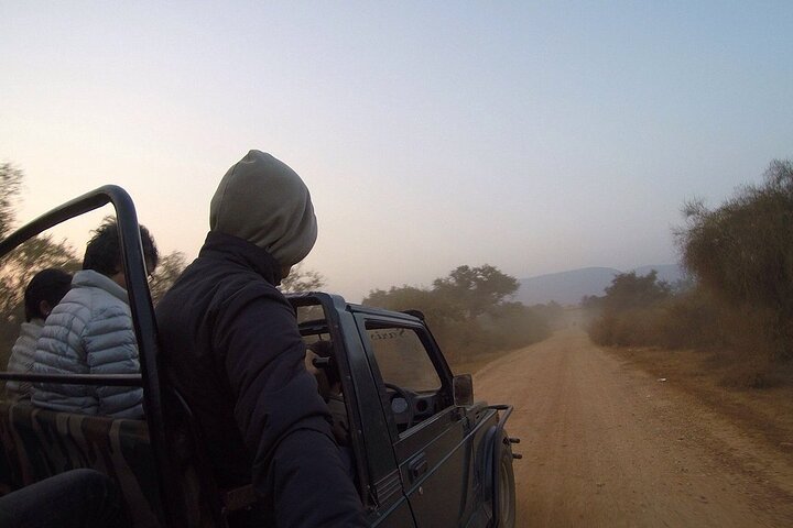 Sariska Tiger Reserve Assistance for Gypsy Private Safari Tickets
