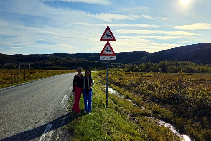 Sommarøy & Kvaløya Scenic Fjord Tour