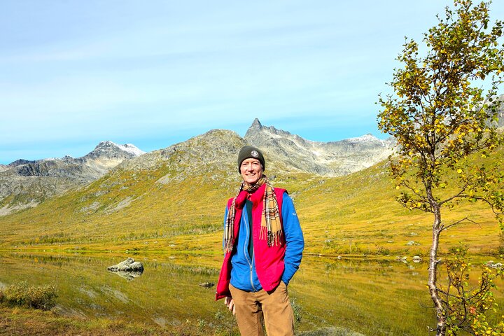 Sommarøy & Kvaløya Scenic Fjord Tour