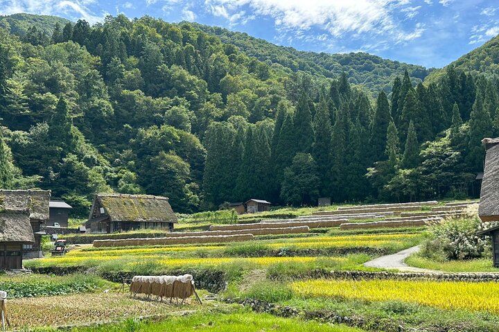 1 Day Private Charter Tour to Shirakawa-go & Takayama