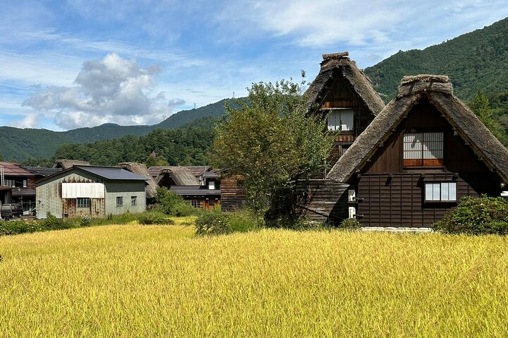 1 Day Private Charter Tour to Shirakawa-go & Takayama