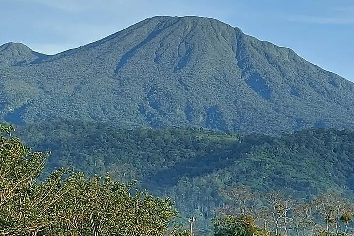 Cultural: Coffee & Chocolate Tour+Wildlife Trail+Waterfall Swim