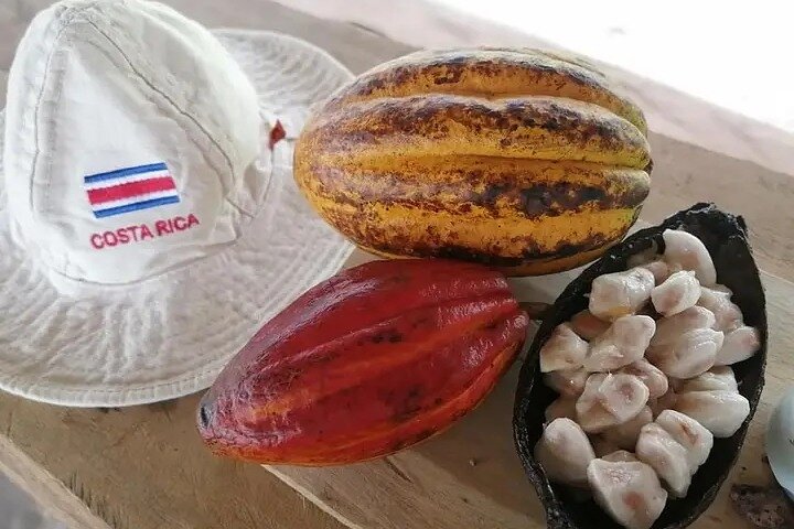 Cultural: Coffee & Chocolate Tour+Wildlife Trail+Waterfall Swim