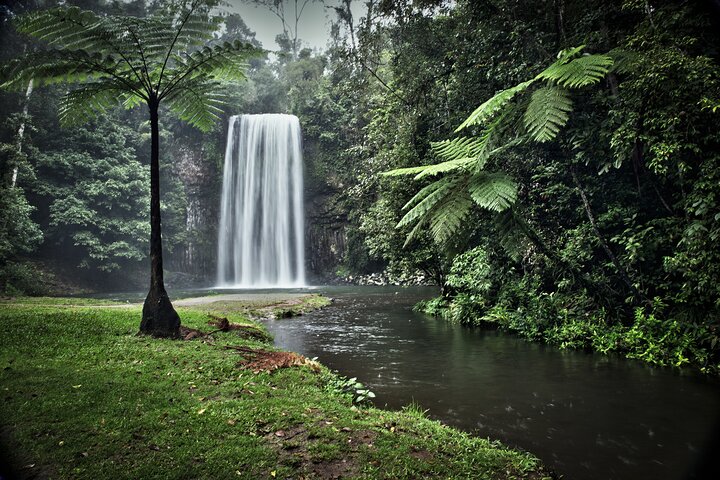 Full-day Tour at the Atherton Tablelands with Food Tasting