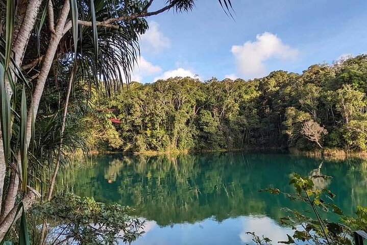 Full-day Tour at the Atherton Tablelands with Food Tasting