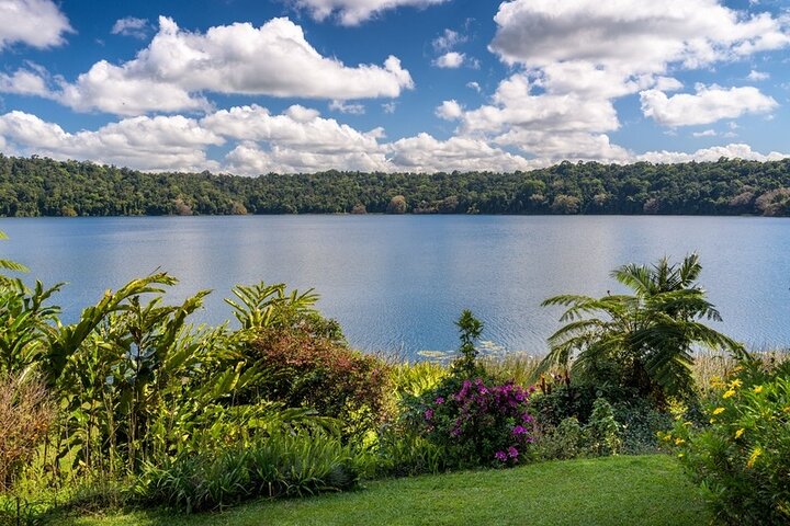 Full-day Tour at the Atherton Tablelands with Food Tasting