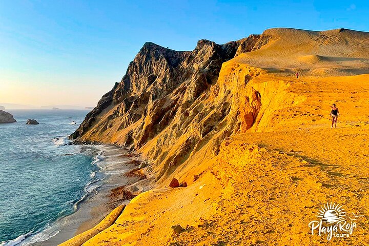 4 Hrs GOLDEN SHADOWS TREK in Paracas National Reserve