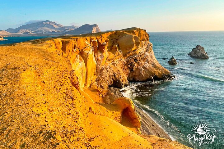 4 Hrs GOLDEN SHADOWS TREK in Paracas National Reserve