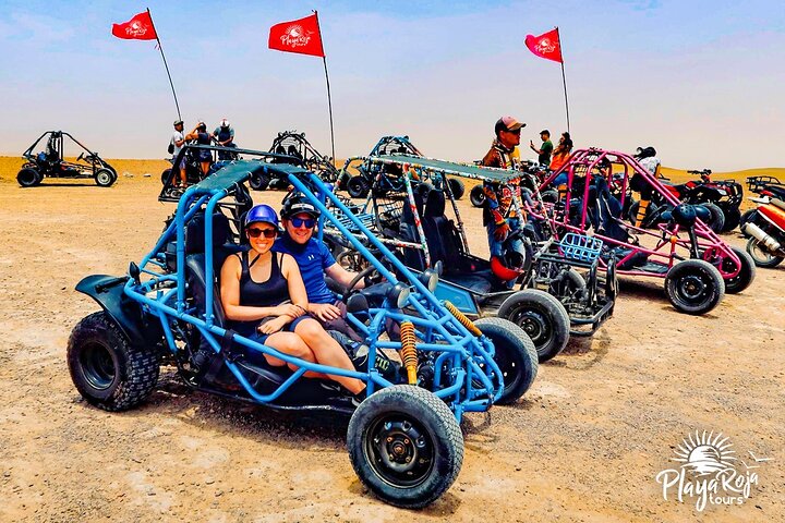 Mini Buggy Paracas National Reserve