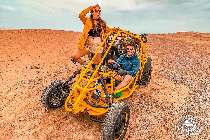 Mini Buggy Paracas National Reserve