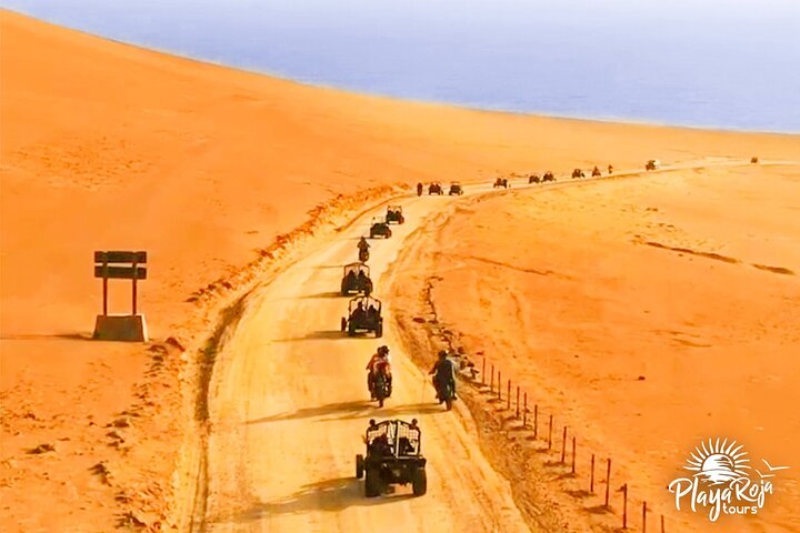Mini Buggy Paracas National Reserve