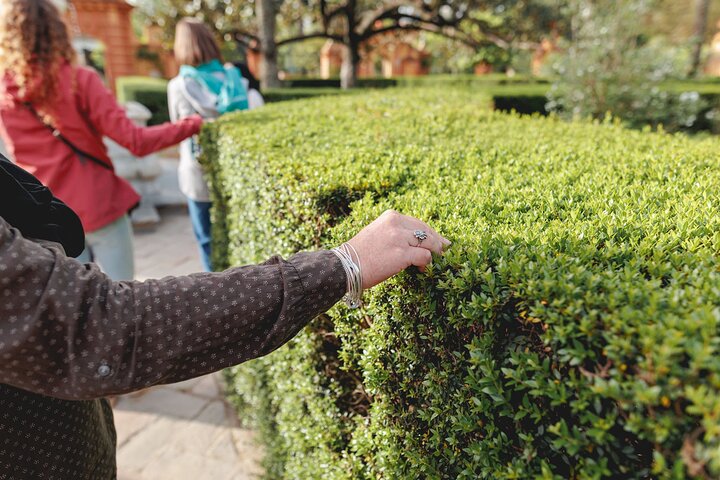 Alcazar of Seville: Exclusive Early Access Tour