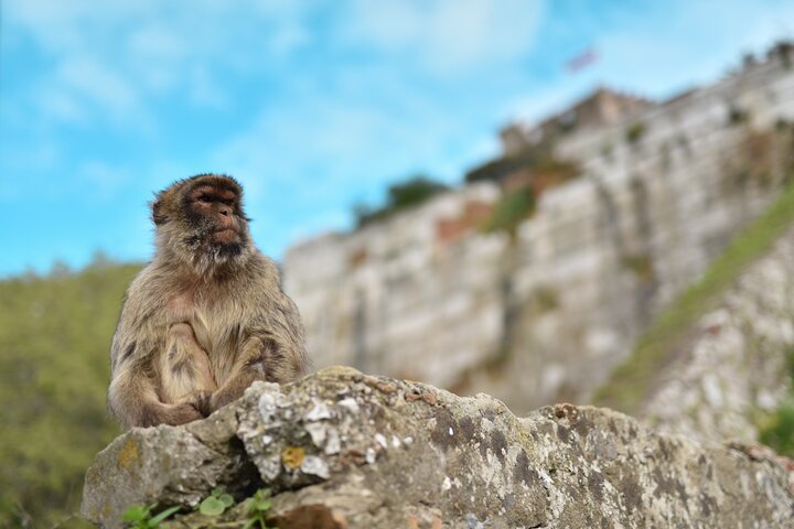 Port Rock Tour at Gibraltar