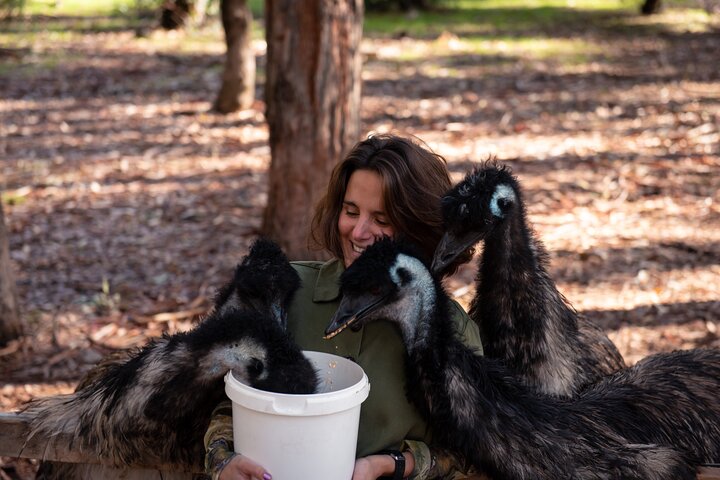 Hidden Gems of Margaret River: Wine, Italian Lunch & Emu Feeding