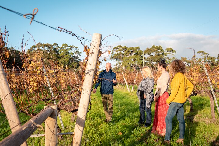 Hidden Gems of Margaret River: Wine, Italian Lunch & Emu Feeding