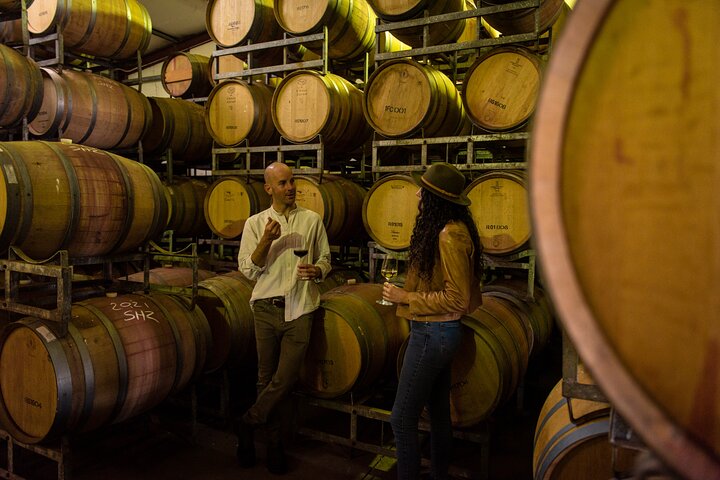 Margaret River Small-Group Curated Wine, Coffee, Lunch & Forest
