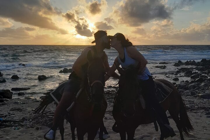 Aruba Ecological & Coastline Horseback Ride with Beach Photo Stop