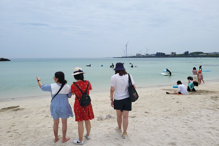 Private Full Day Tour World Natural Heritage & UNESCO in jeju