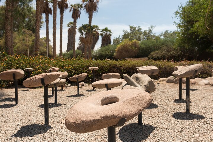 Archeological Sightseeing tour in Arica