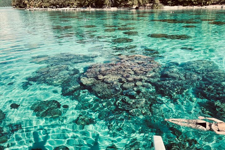 Full-day Lagoon Safari Tour with Lunch in Bora Bora - Shared tour