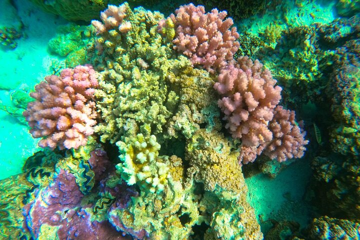 Full-day Lagoon Safari Tour with Lunch in Bora Bora - Shared tour