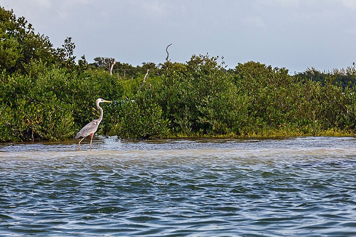 Holbox 3 Island Group Tour