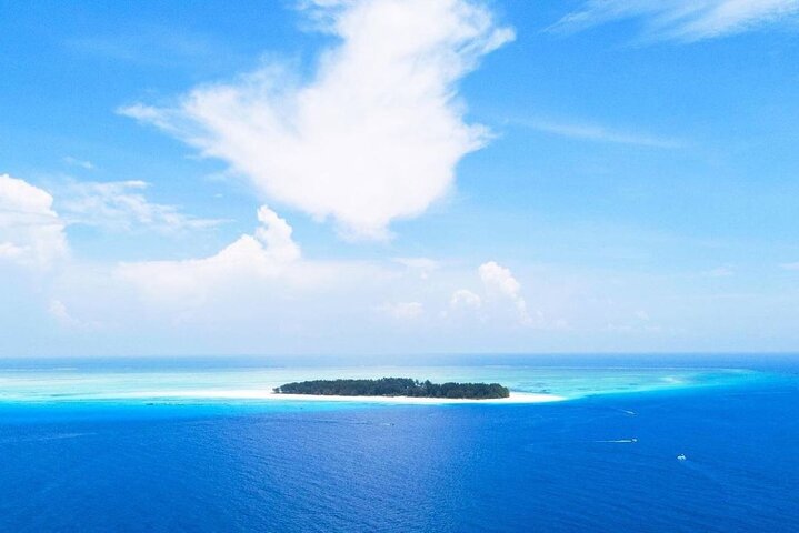 Mnemba Dolphin Tour, Clear Kayak, Cooking Class, Horse Riding