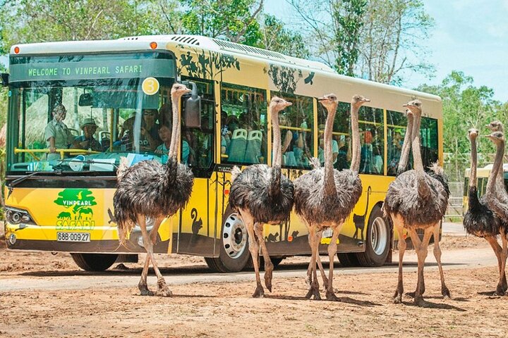 Phu Quoc: VinWonders & Safari Tickets with Private Transfer