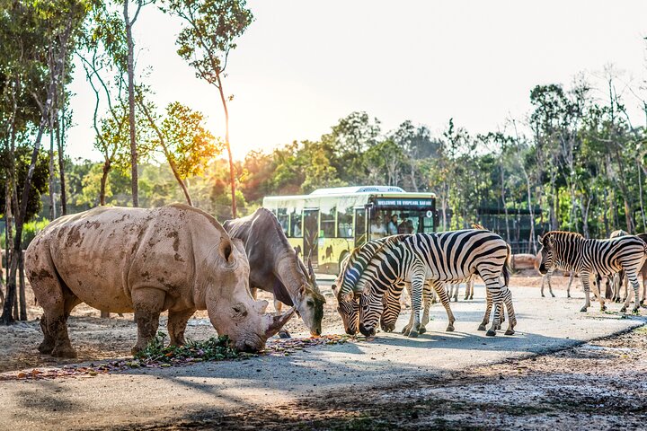 Phu Quoc: VinWonders & Safari Tickets with Private Transfer