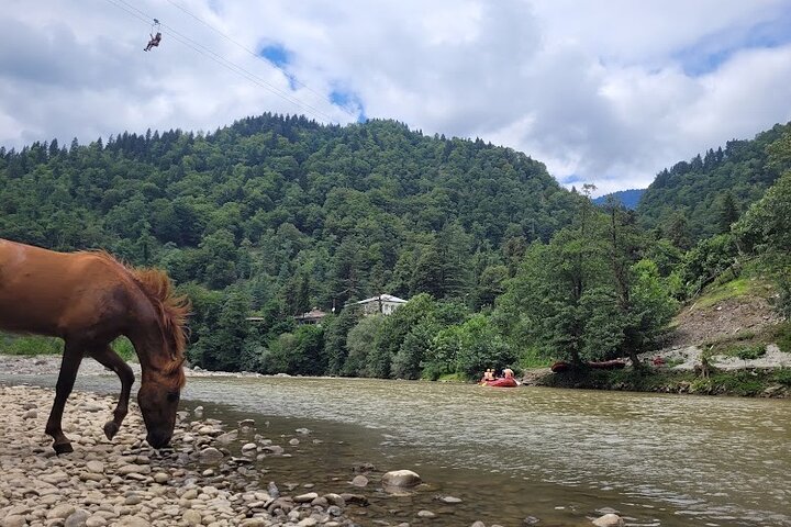 Private Full Day Tour from Batumi to Waterfalls