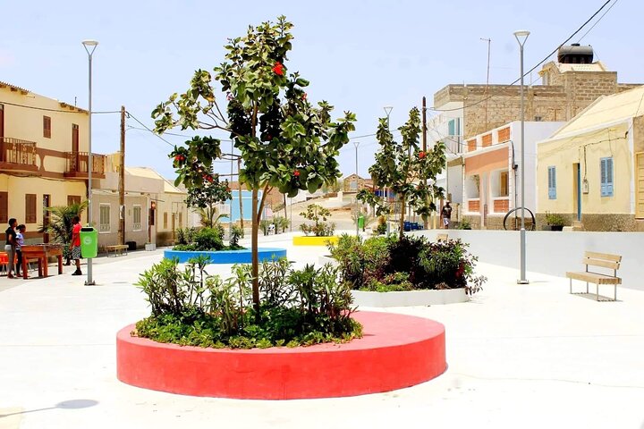Guided Full Day Island Tour in Boa Vista with Lunch