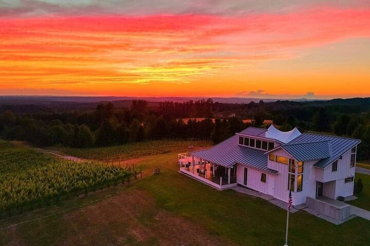 5-Hour Traverse City Wine Tour: 3 Wineries on Leelanau Peninsula