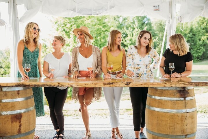 5-Hour Traverse City Wine Tour: 3 Wineries on Leelanau Peninsula
