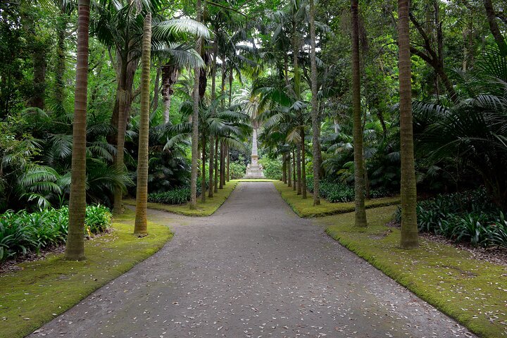 Adventure in the Furnas, with volcanoes, lagoons and tea plantations