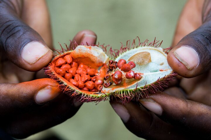 Mnemba Dolphin Tour, Cooking Class, Spice Tour, Horseback Riding