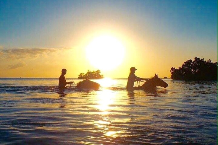 Mnemba Dolphin Tour, Cooking Class, Spice Tour, Horseback Riding