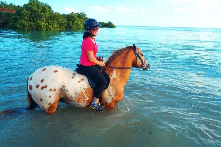 Mnemba Dolphin Tour, Cooking Class, Spice Tour, Horseback Riding