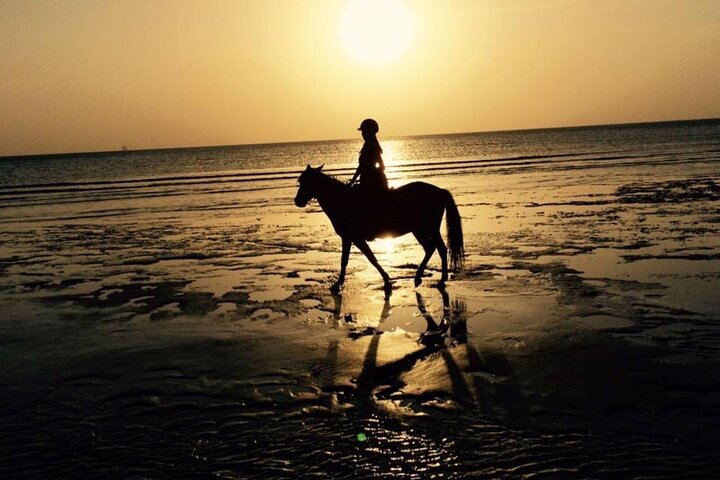 Mnemba Dolphin Tour, Cooking Class, Spice Tour, Horseback Riding