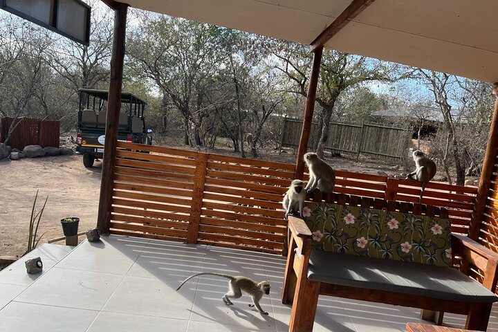 All Inclusive 2 Day Kruger Safari from Nelspruit