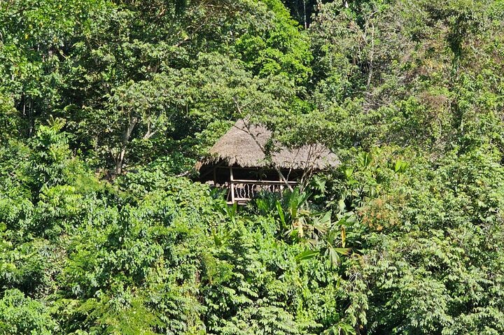 Amazon Jungle & Baños Adventure City: 4 Days of Nature & Wildlife