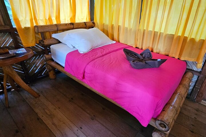 Amazon Jungle & Baños Adventure City: 4 Days of Nature & Wildlife